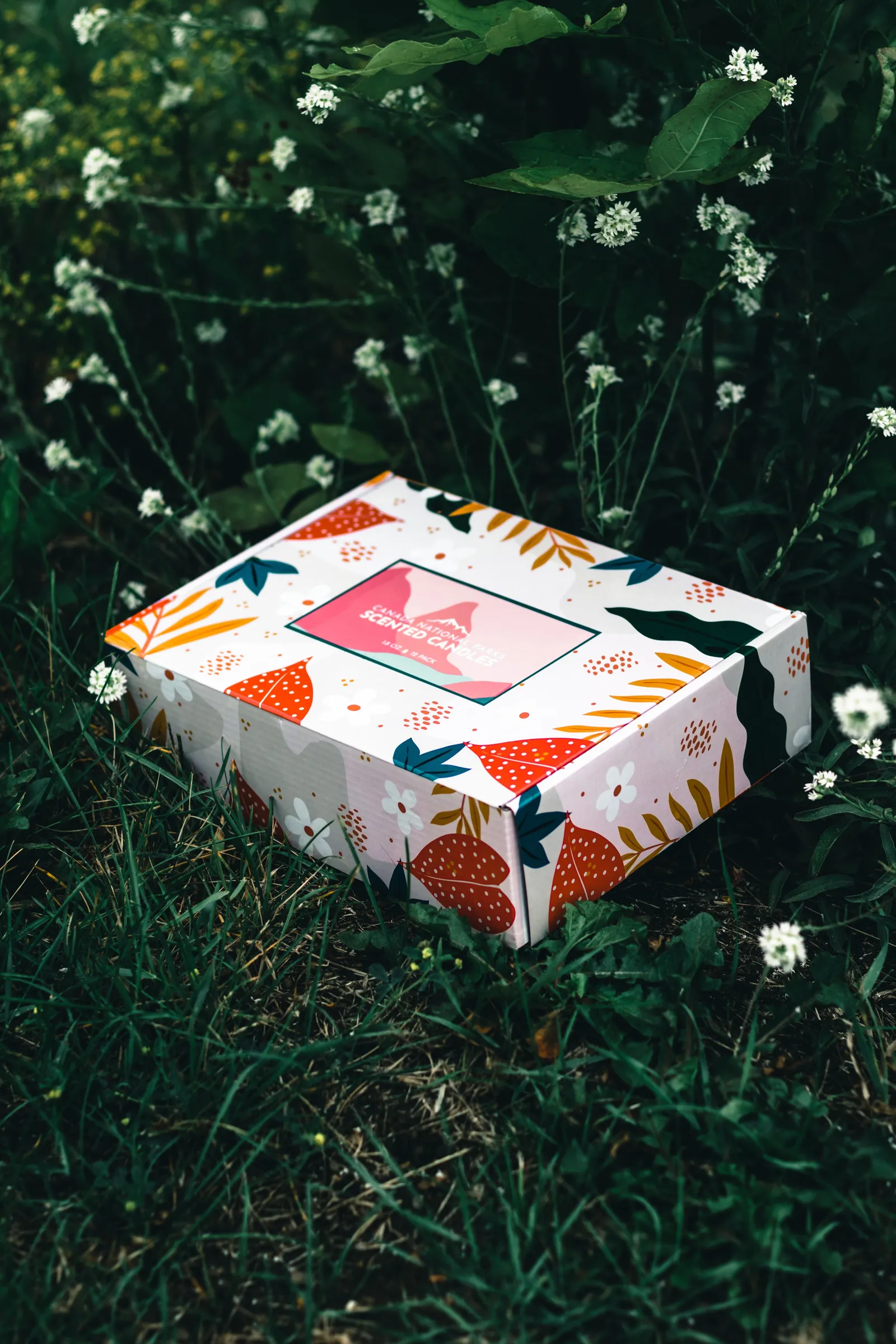Floral printed corrugated mailer box with a pink label resting in long grass