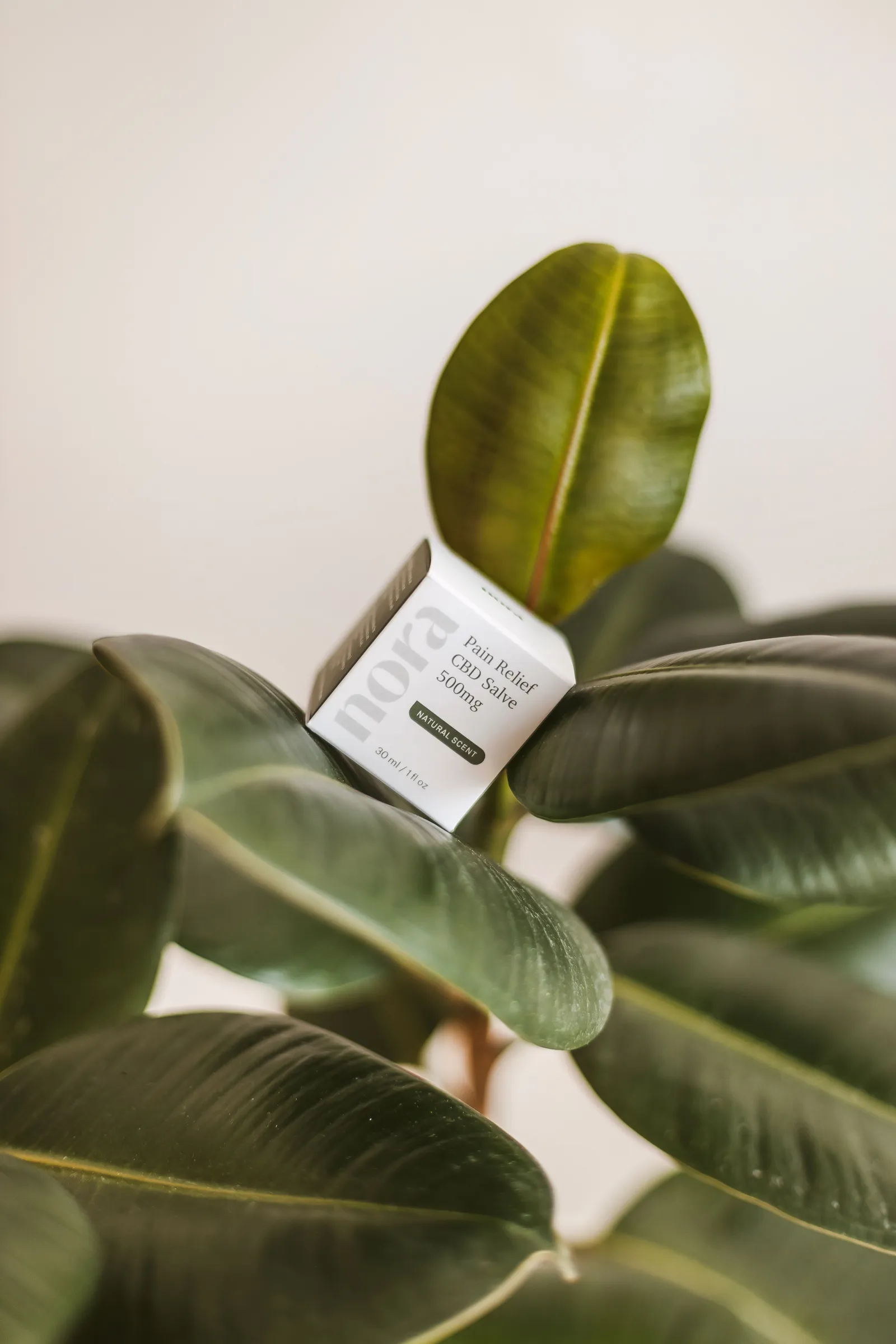 Small white skincare carton resting among green leaves